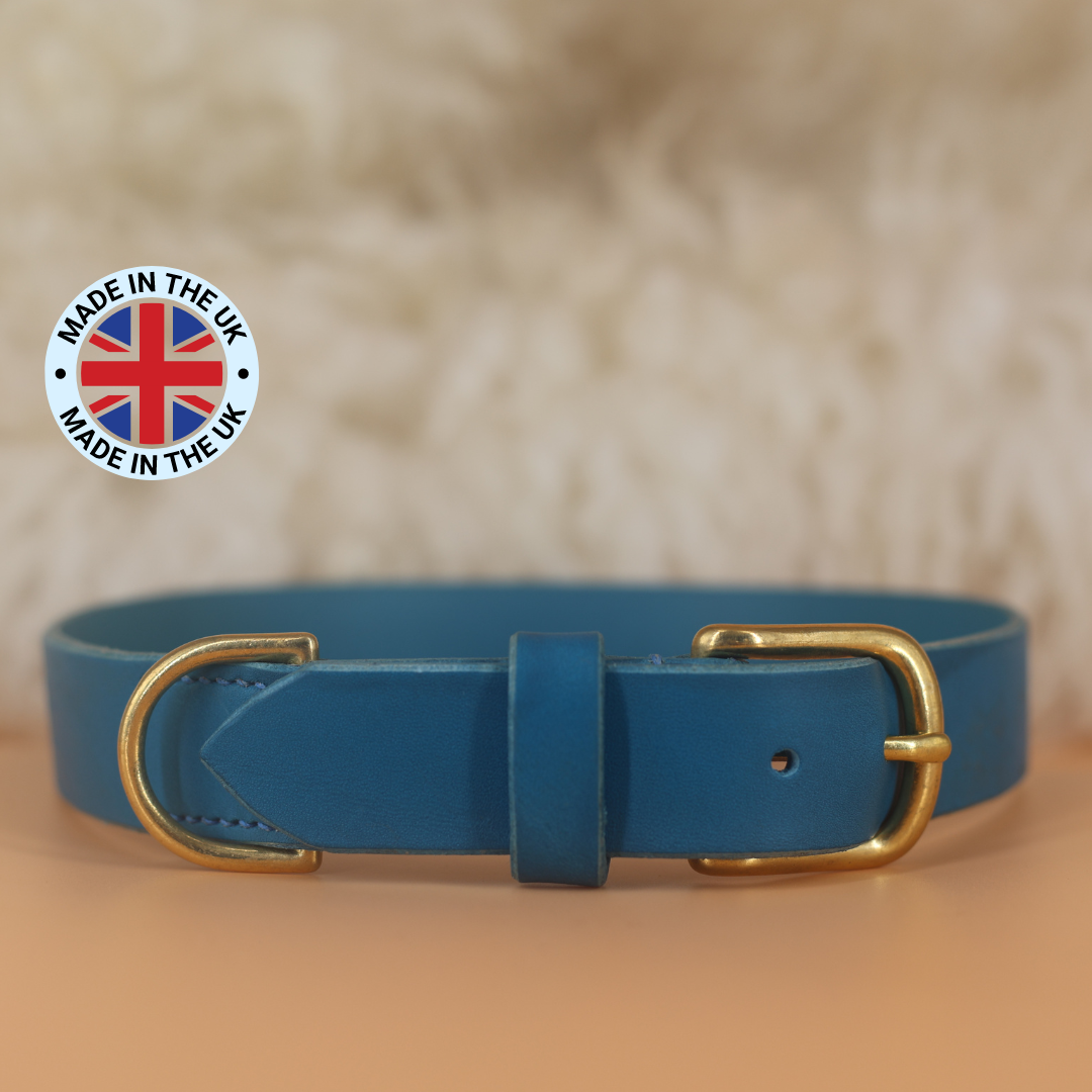 Luxury Blue Leather dog Collar